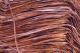 RAFFIA 250GM RUM BUNDLE