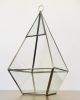 TER071 Silver Glass Terrarium Rhombus (L)