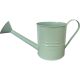 Large Sage Zinc Watering Can 