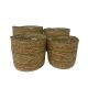 Natural & Sage Reed S/4 Planters