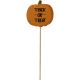 TRICK OR TREAT PICK