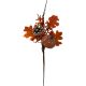 PUMPKIN & CONE ARRANGEMENT PICK