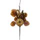 PUMPKIN & WHITE BERRY ARRANGEMENT PICK